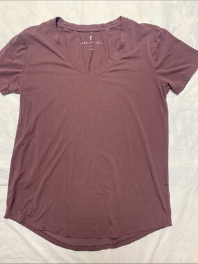 American Tall Women’s V Neck Cotton T Shirt Brown Size LT